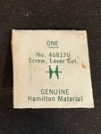 Hamilton Factory Setting Lever Screw For Electric Grades 500, 500a, 505. Fixed Price $12.50.